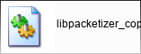 libpacketizer_copy_plugin.dll library