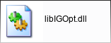 libIGOpt.dll library