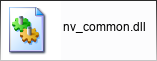 nv_common.dll library